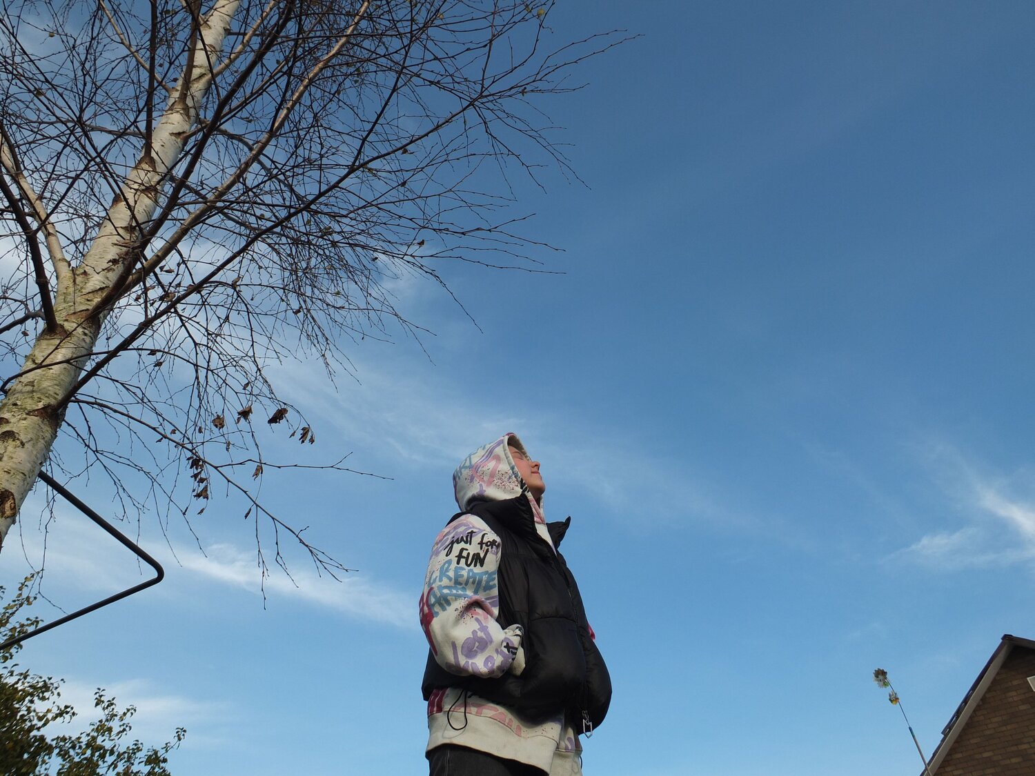 Photo #12687269