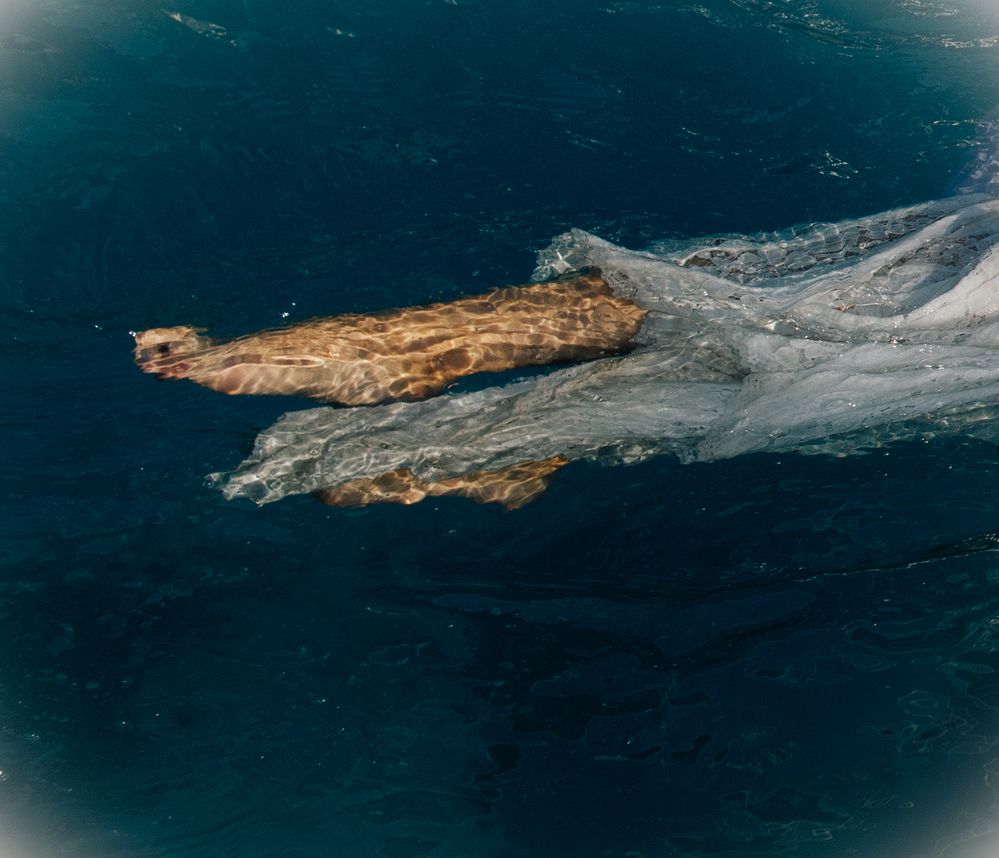 Photograph by Анна Филипьева