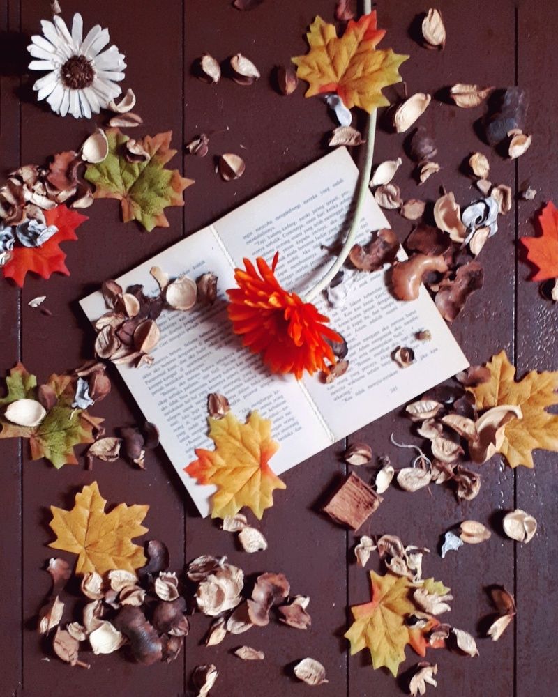 Photograph by Aliza Basyaib