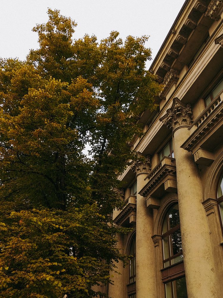 Photograph by Ирина Яковлева