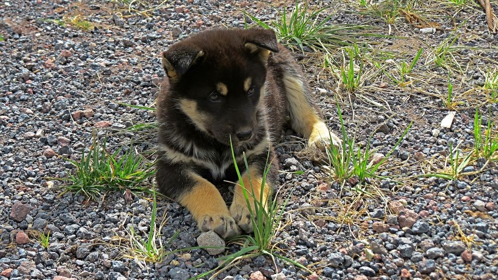 Photograph by Фартушняк Сергей