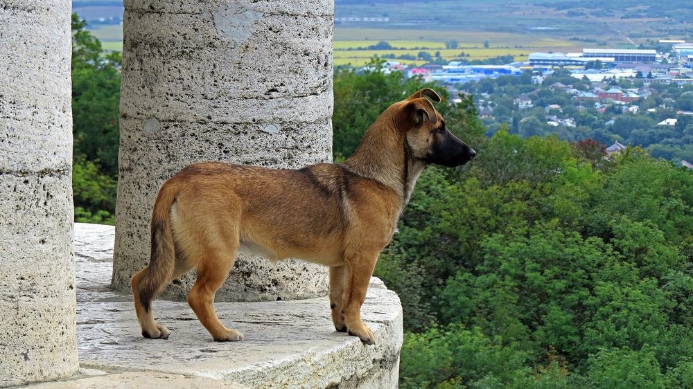 Photograph by Фартушняк Сергей