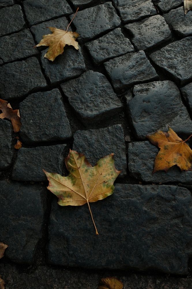 Photograph by Максим Кольцов