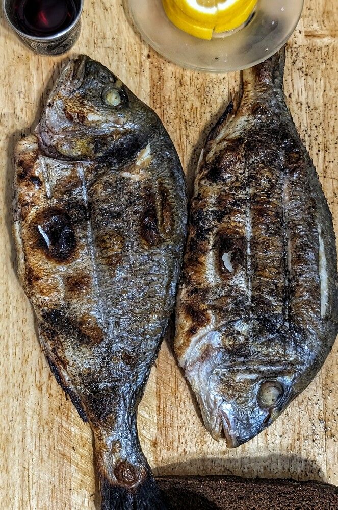 Photograph by Любовь Колмакова