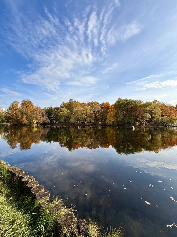 Краски осени