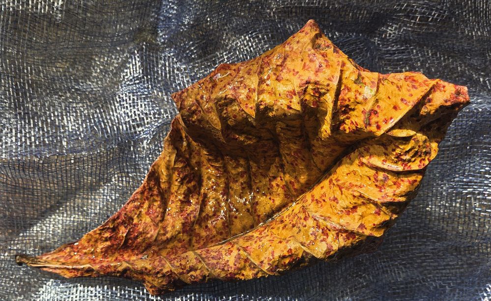 Photograph by HECTOR ANTONIO RAUCHS