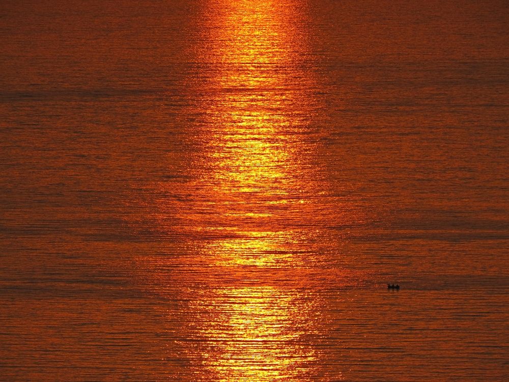 Photograph by Фартушняк Сергей