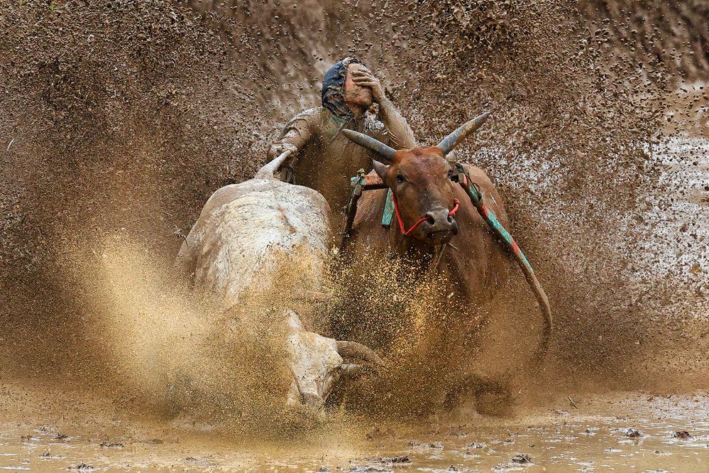 Photograph by Jurica Galic