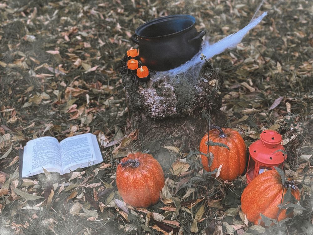 Photograph by Елена Чулюнина