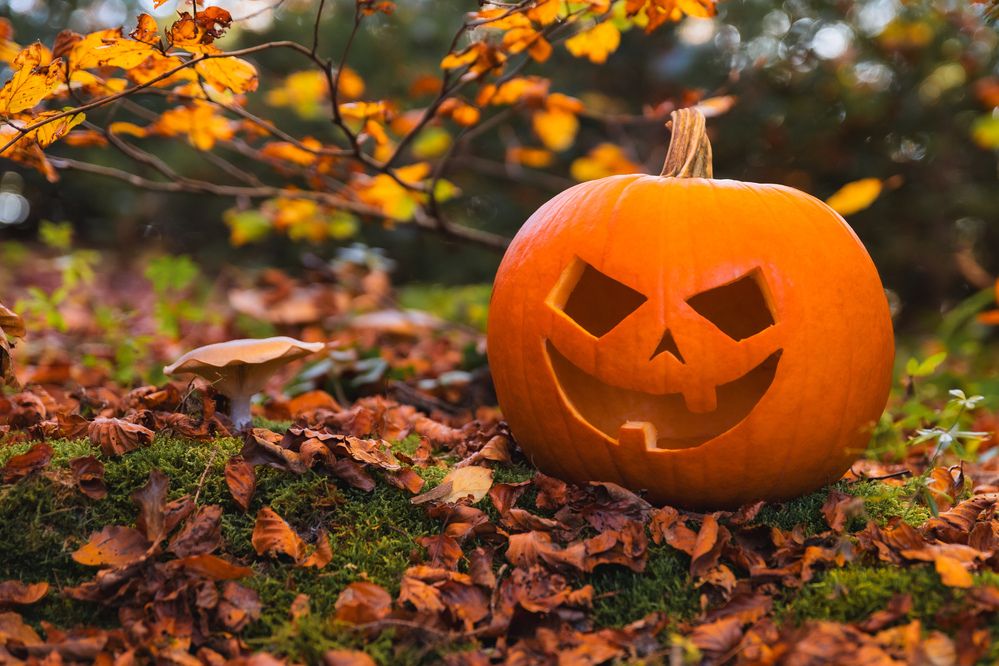 Photograph by Ed Simon