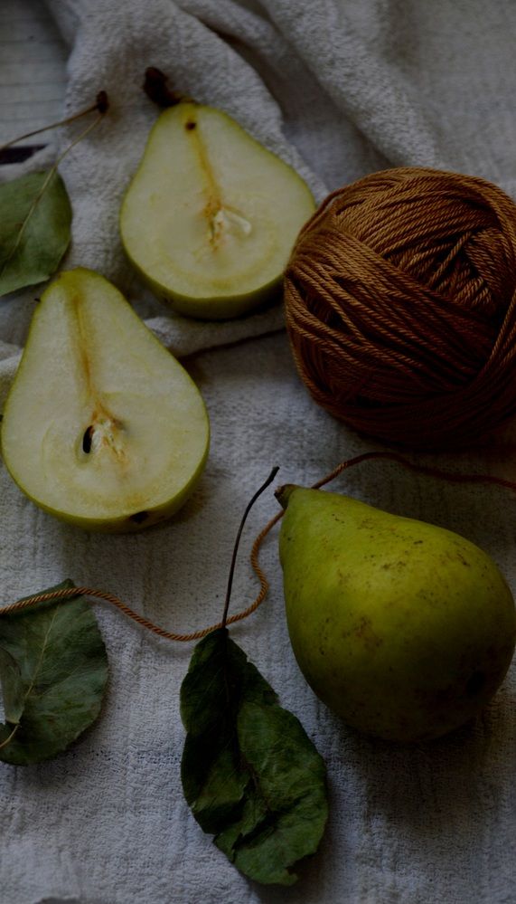 Photograph by Safoora bakhti