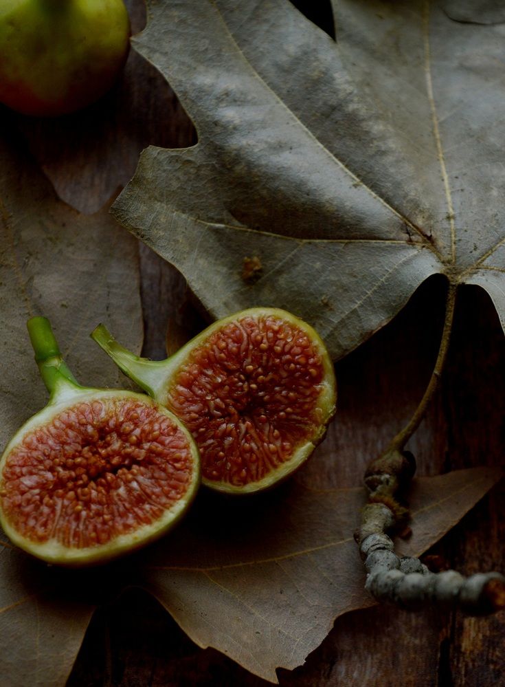 Photograph by Safoora bakhti