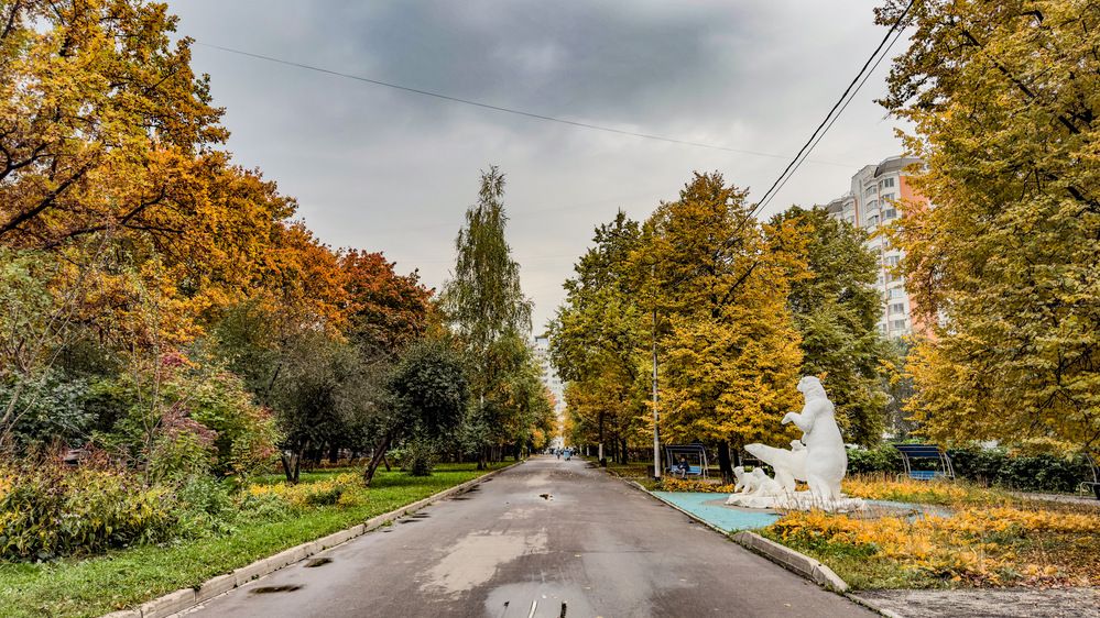 Photograph by Ekaterina Slepneva