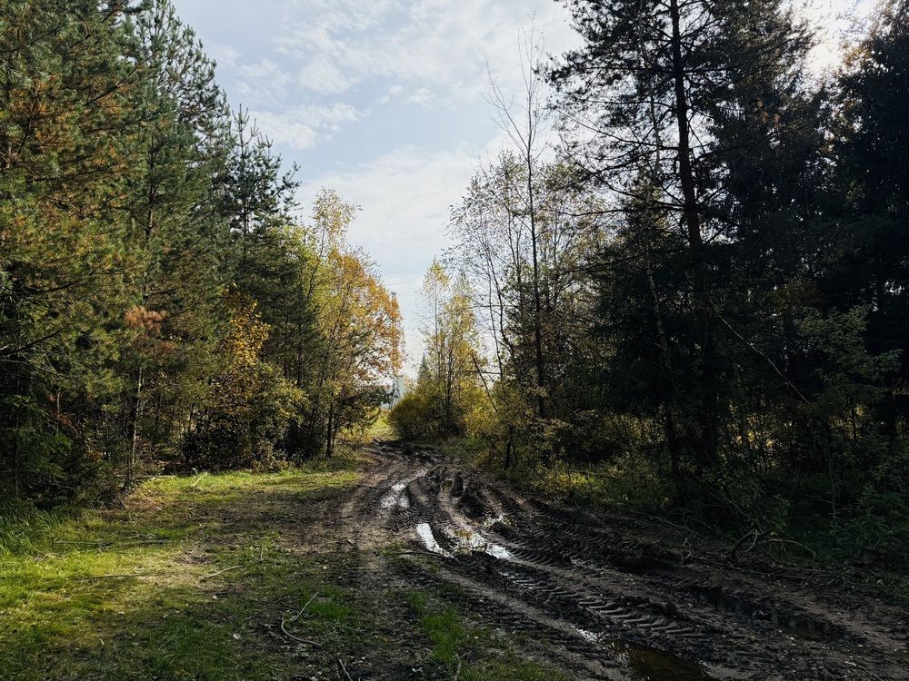 Photograph by Светлана Родионова