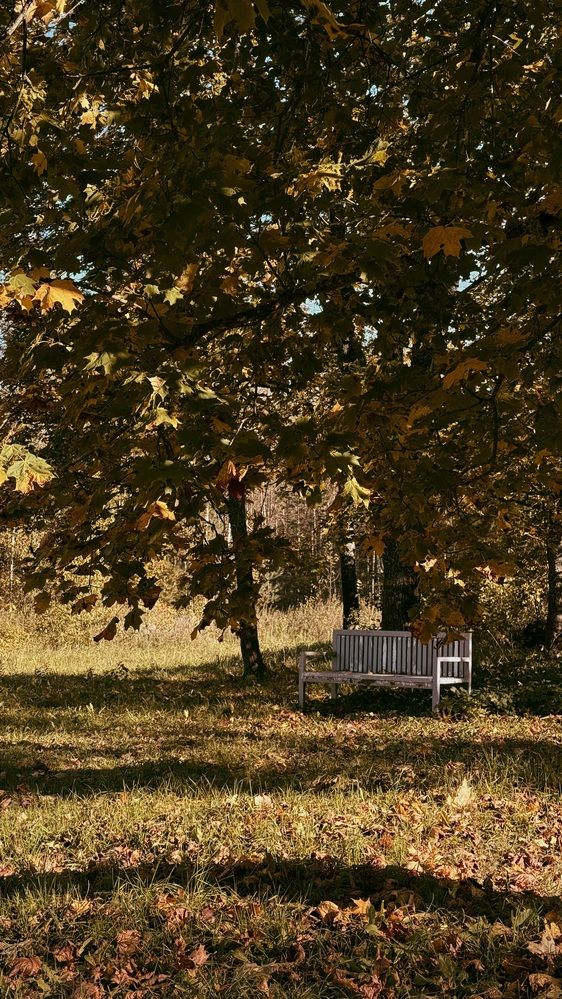 Photograph by Светлана Родионова