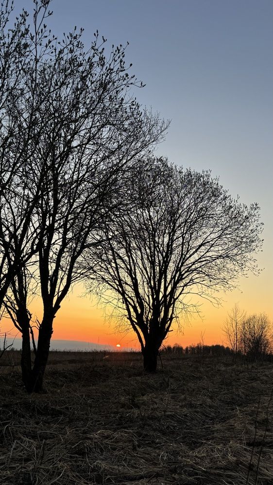 Photograph by Светлана Родионова