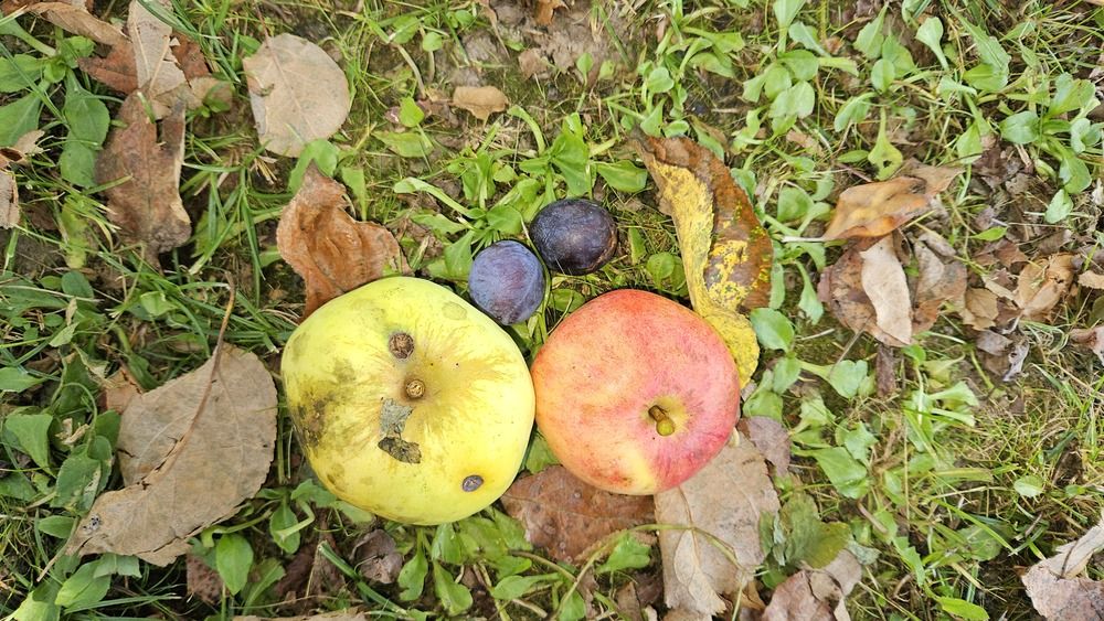 Photograph by Зина Хаимова