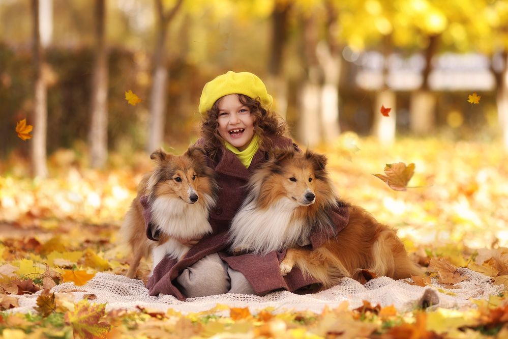 Фотография автора Тамара Дмитриева