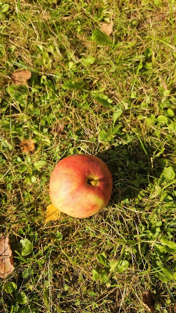 Photograph by Зина Хаимова