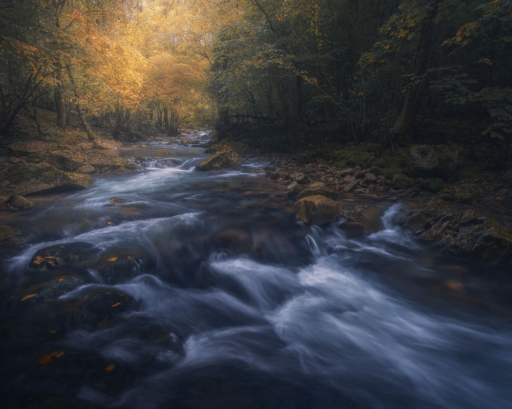 Photograph by de Franzoni Thomas