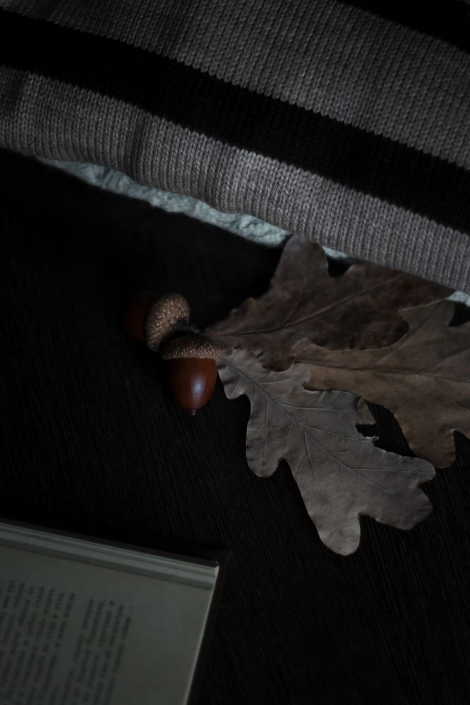 Photograph by Надежда Виденина