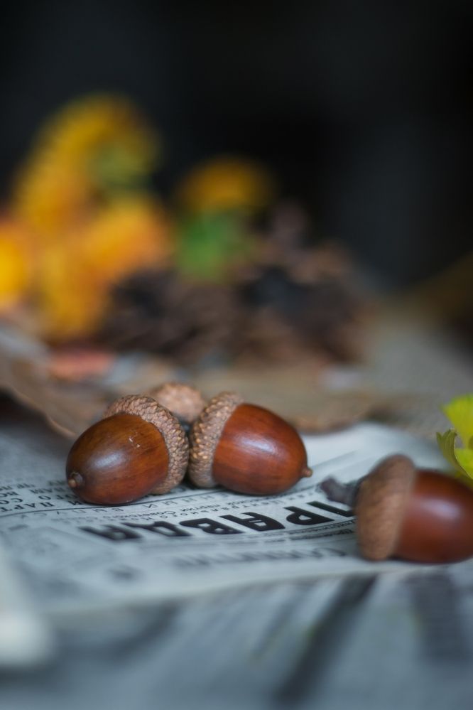 Photograph by Надежда Виденина