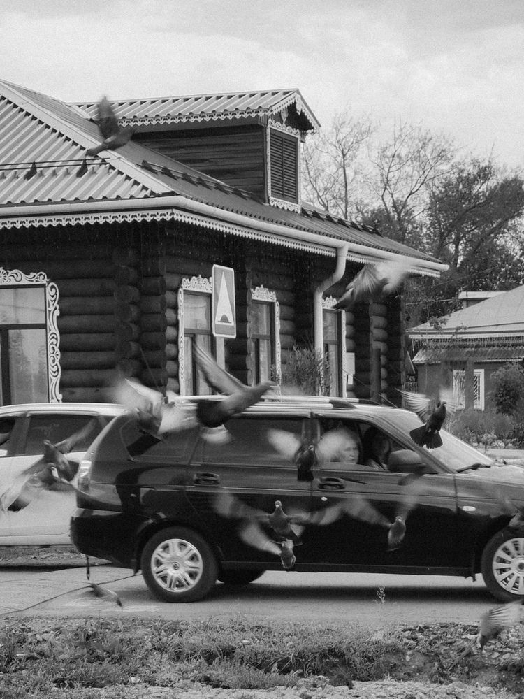 Фотография автора Татьяна Волкова