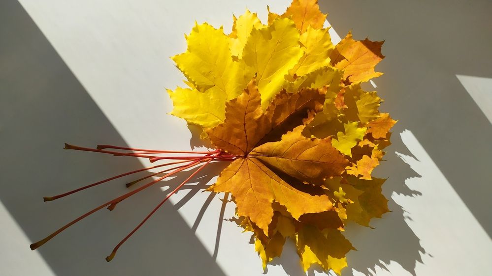 Photograph by Татьяна Клемба