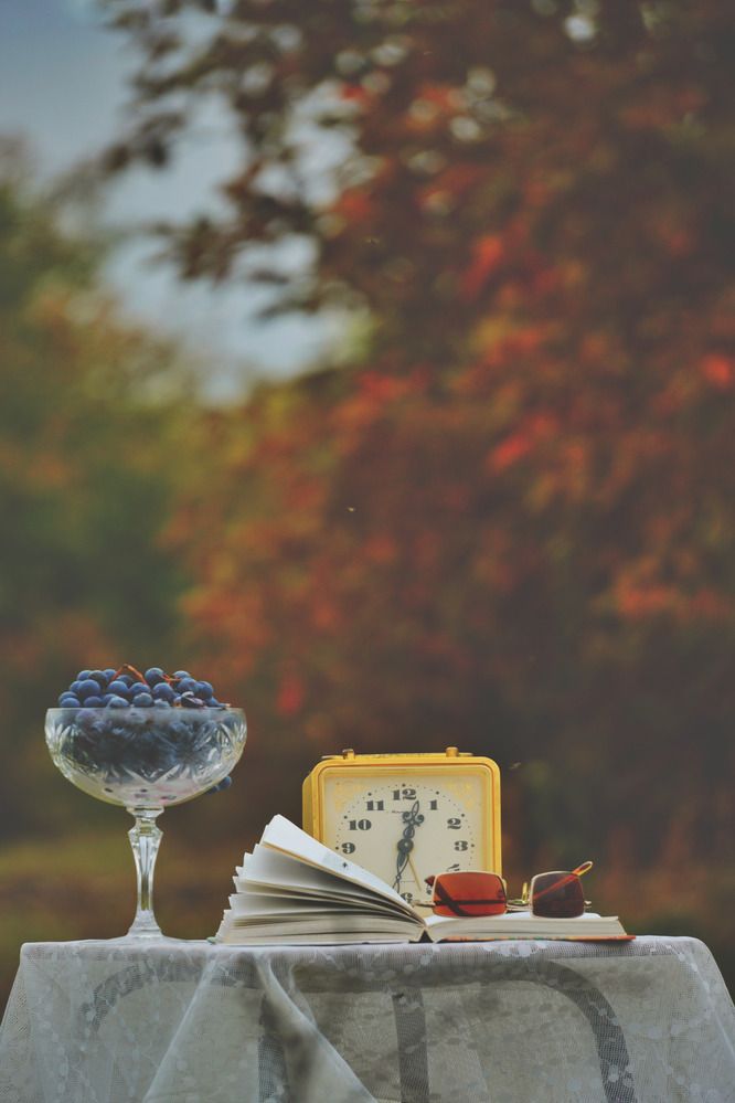 Photograph by Елена