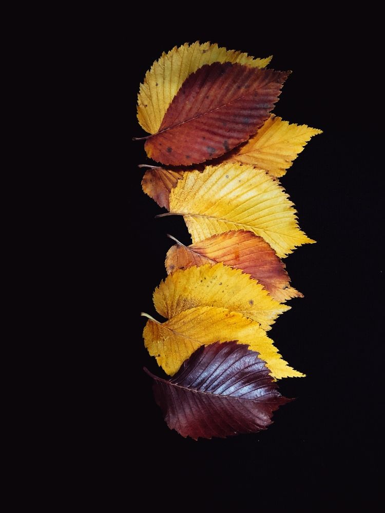 Photograph by Светлана Дмитриева