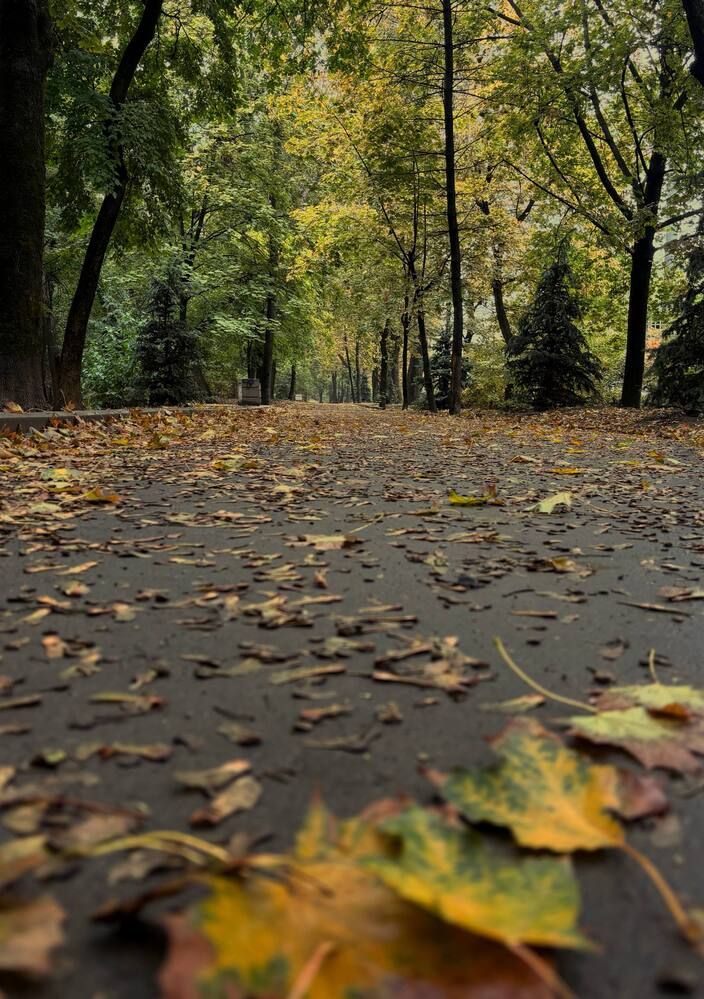 Photograph by Полина Андрейченко