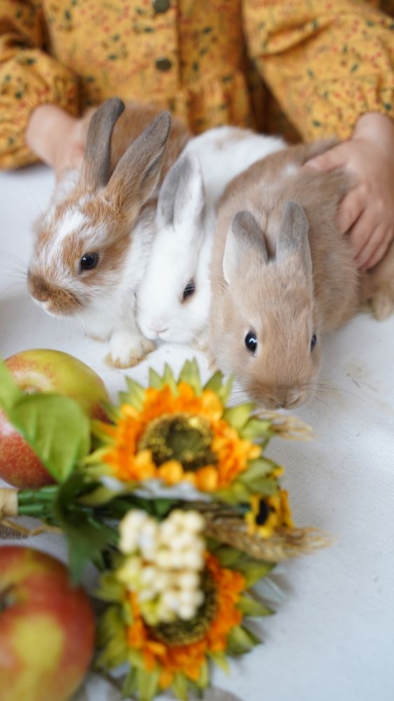 Фотография автора Алена Баулина