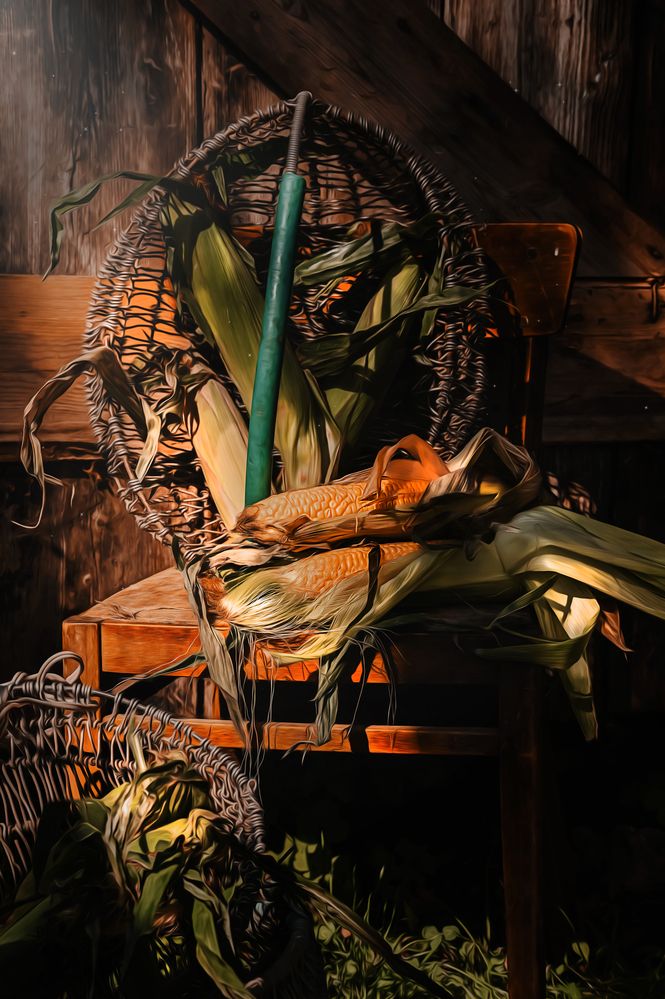 Photograph by Олеся Петрович