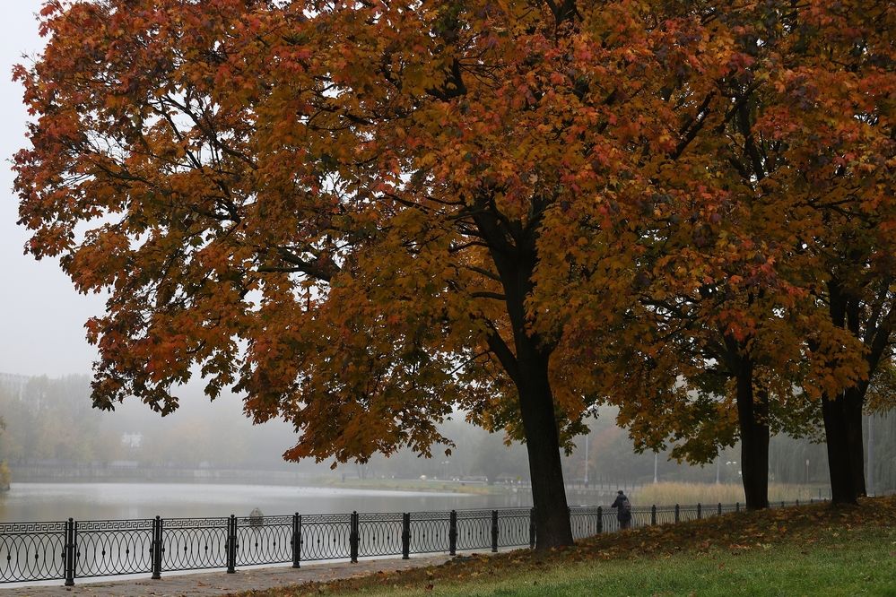 Фотография автора Елена Кириллова