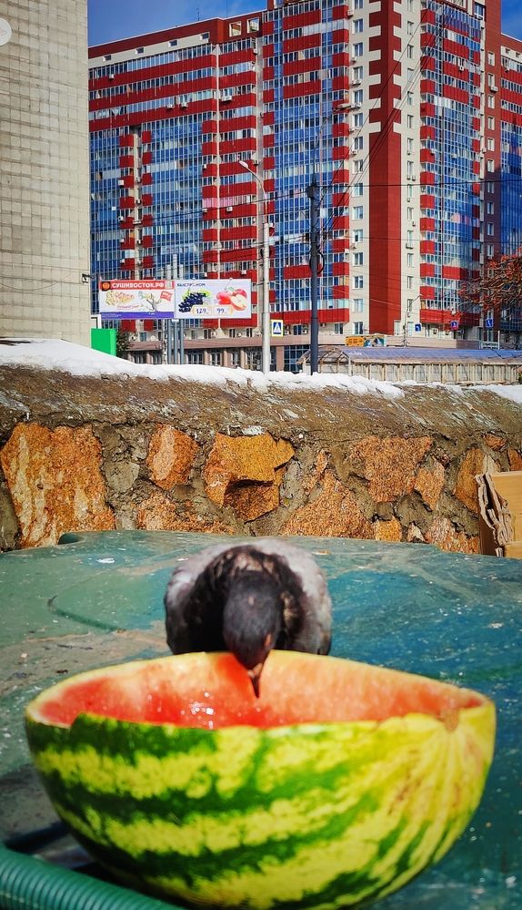 Photograph by Olena Chertous