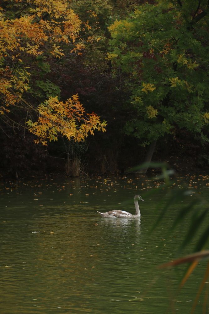 Photograph by Ксения Золотарь