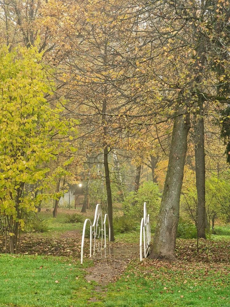 Photograph by Ksenia Sannikova