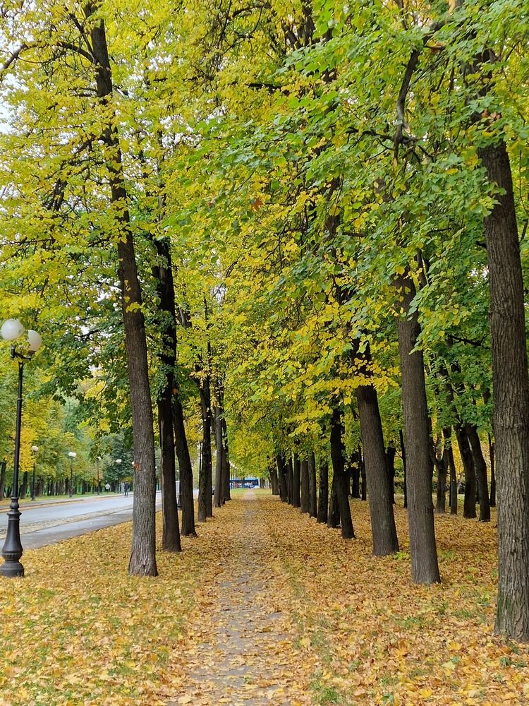 Photograph by Ksenia Sannikova