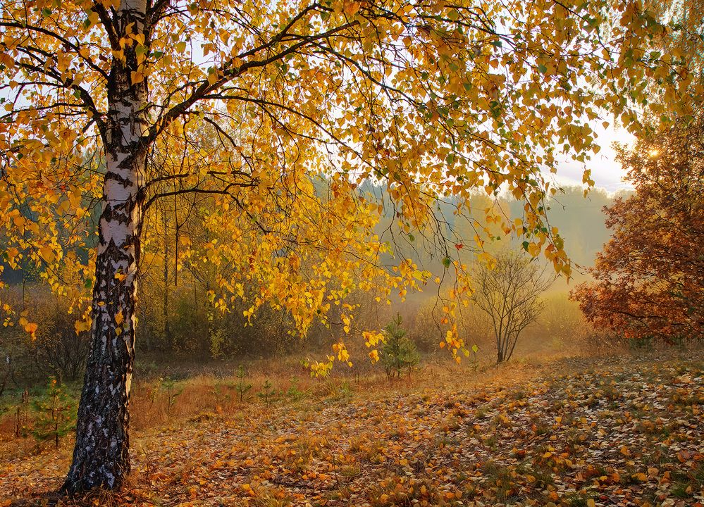 Photograph by Юрий Спасенников