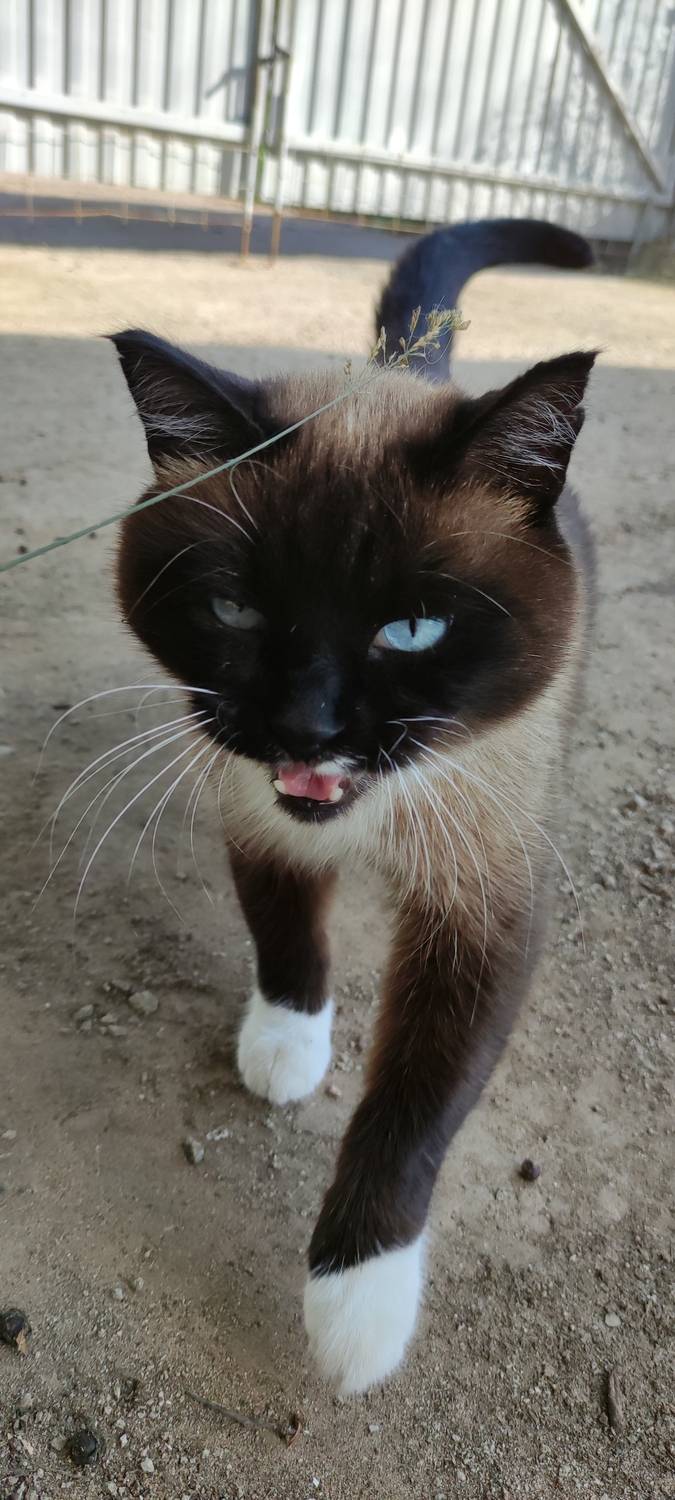 Photo #12688168