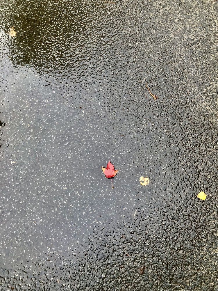 Photograph by Олеся Семёнова