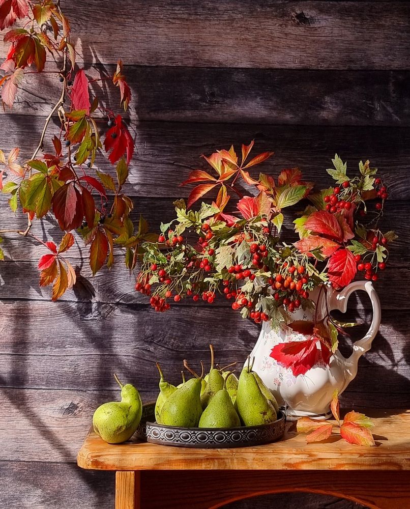 Photograph by Галина Гельфман