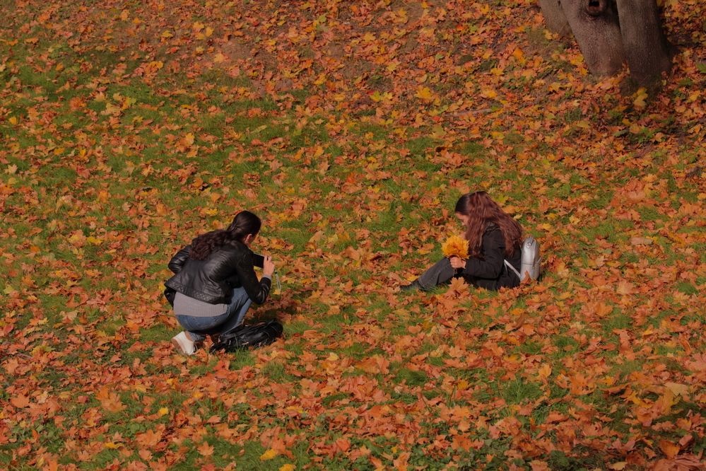 Оранжевый вайб