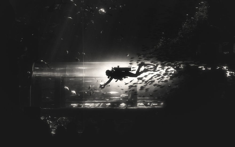 Photograph by Abdullah Ahmad