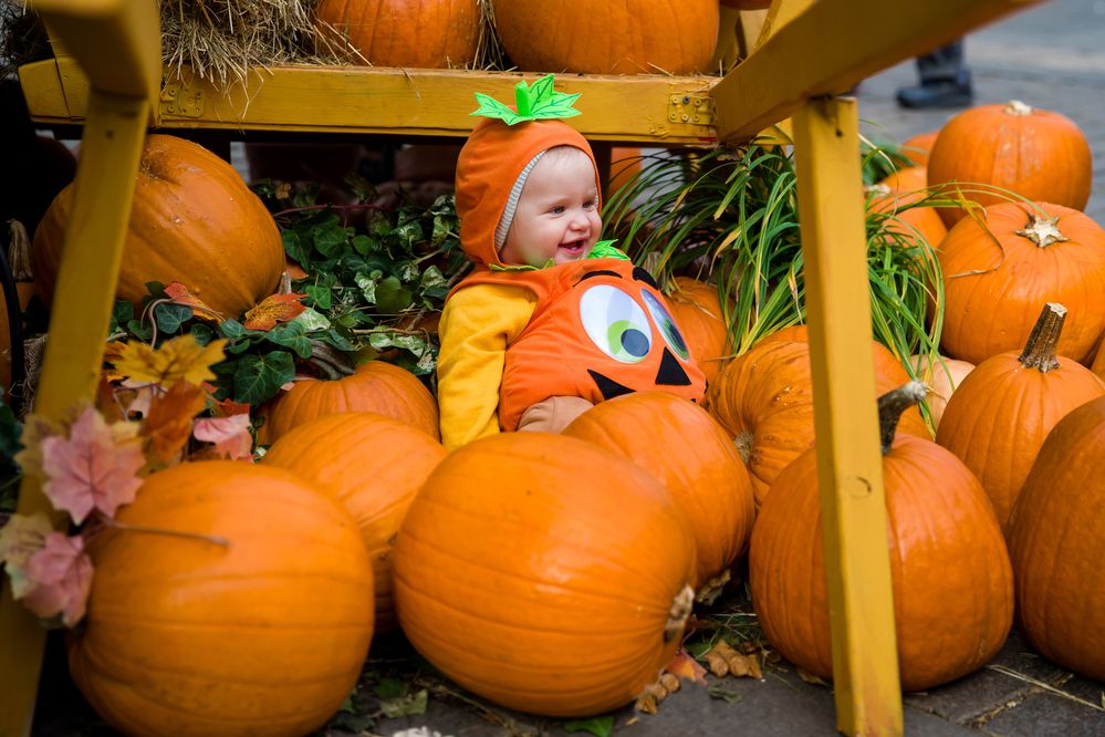 Photograph by Владимир Говоров