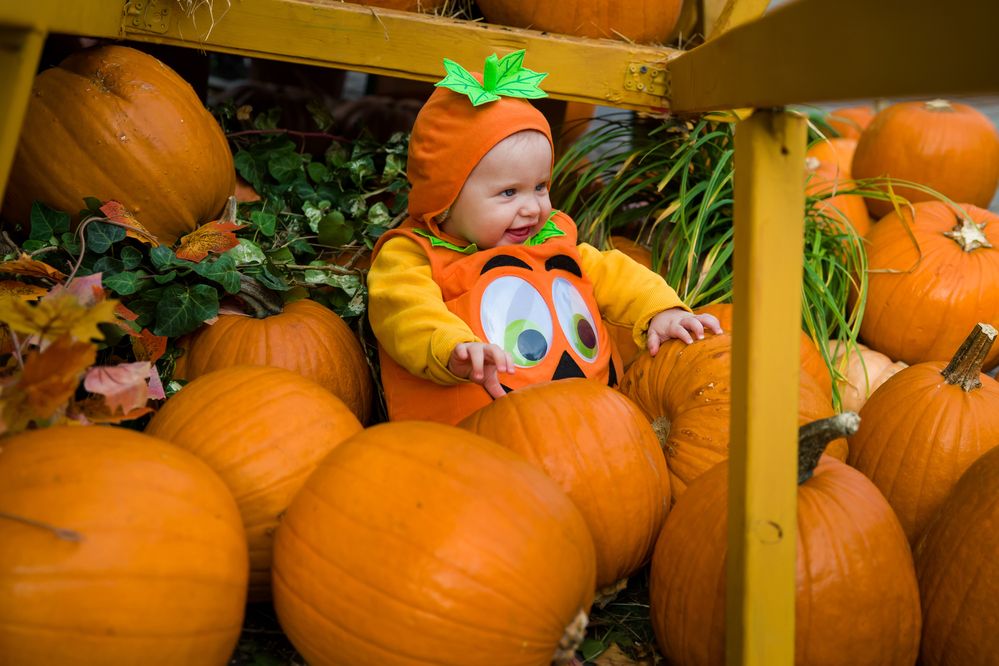 Photograph by Владимир Говоров