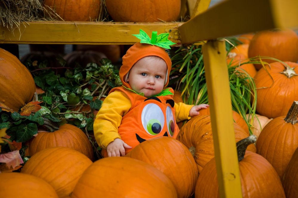 Photograph by Владимир Говоров