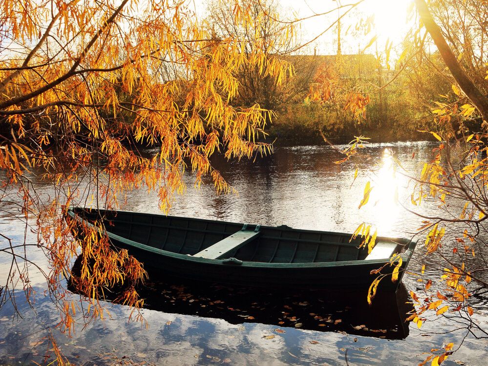 Photograph by Александр Титов