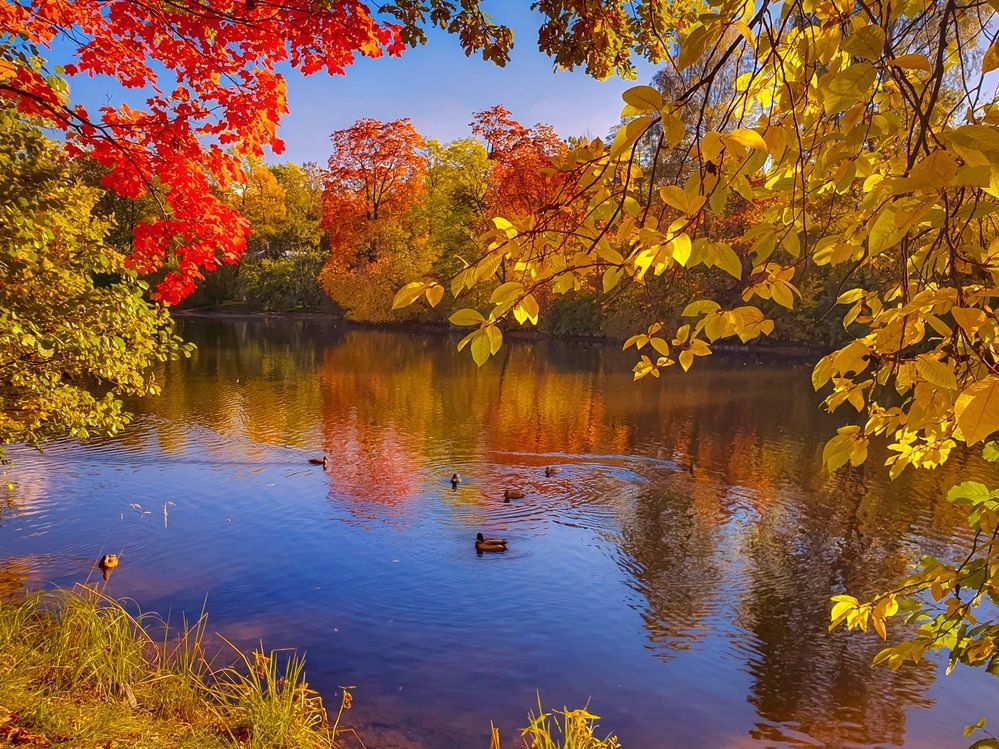 Фотография автора Inna Evseeva