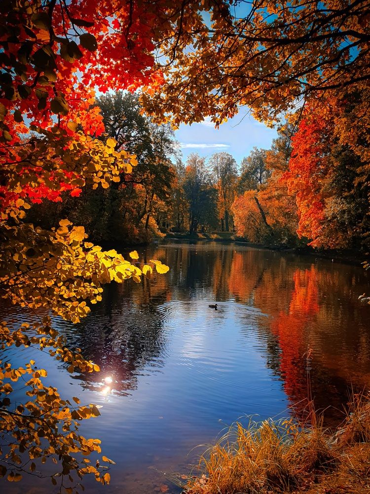 Photograph by Inna Evseeva